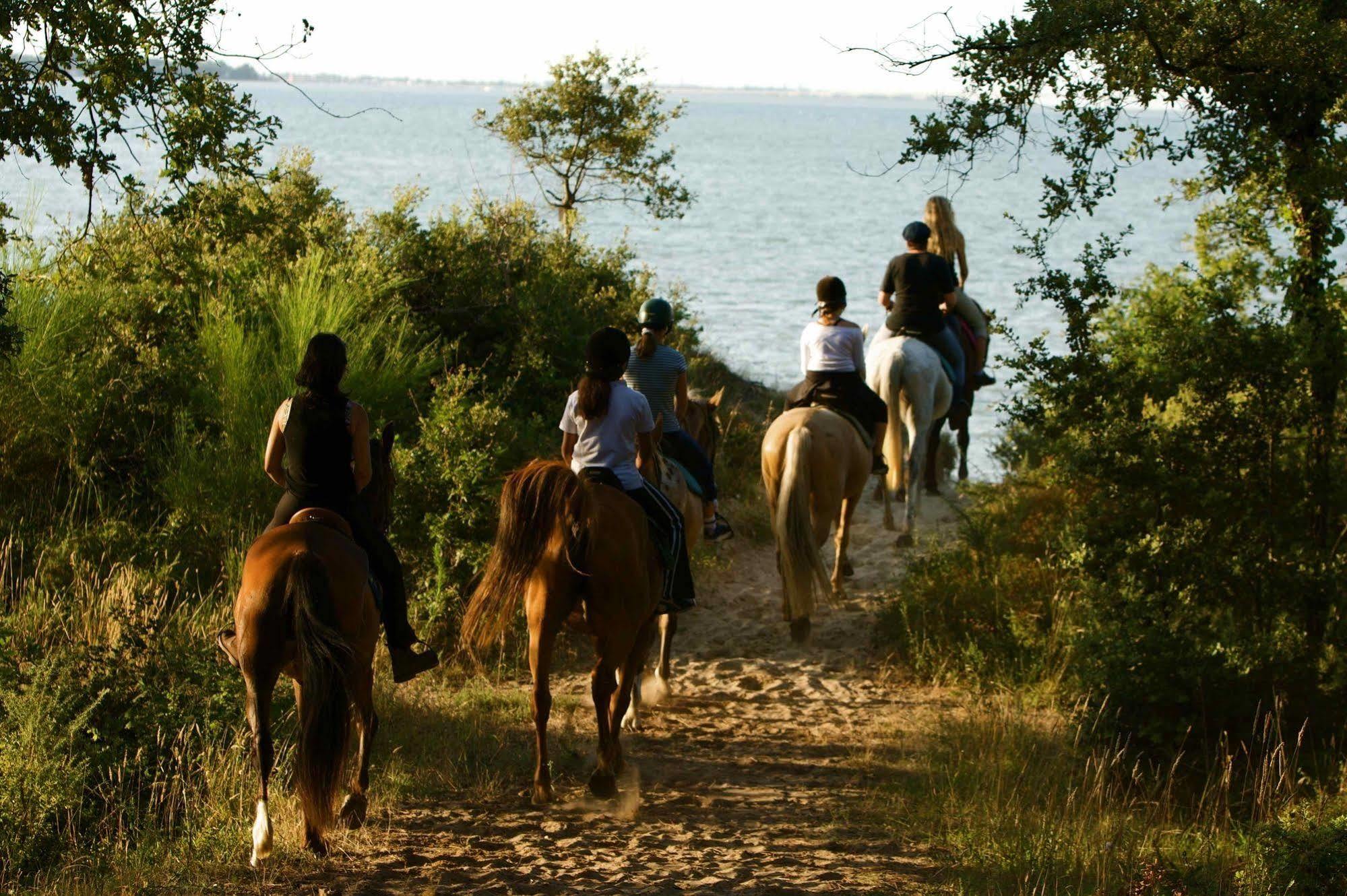 Camping Officiel Siblu La Pignade Ронс-ле-Бен Экстерьер фото